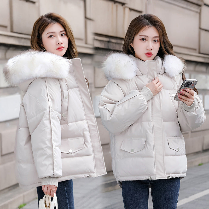 ecb1bb8bc2831d04b1f9636a9fc17898